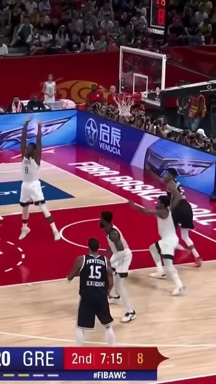 现在已经适应FIBA了19